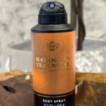 BATH AND BODY WORKS - BODY SPRAY