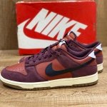 NIKE DUNK LOW RETRO SE