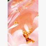 DIORIVIERA- Eau de Parfum-200ML - Image 5