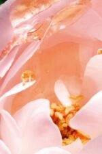 DIORIVIERA- Eau de Parfum-200ML - Image 5