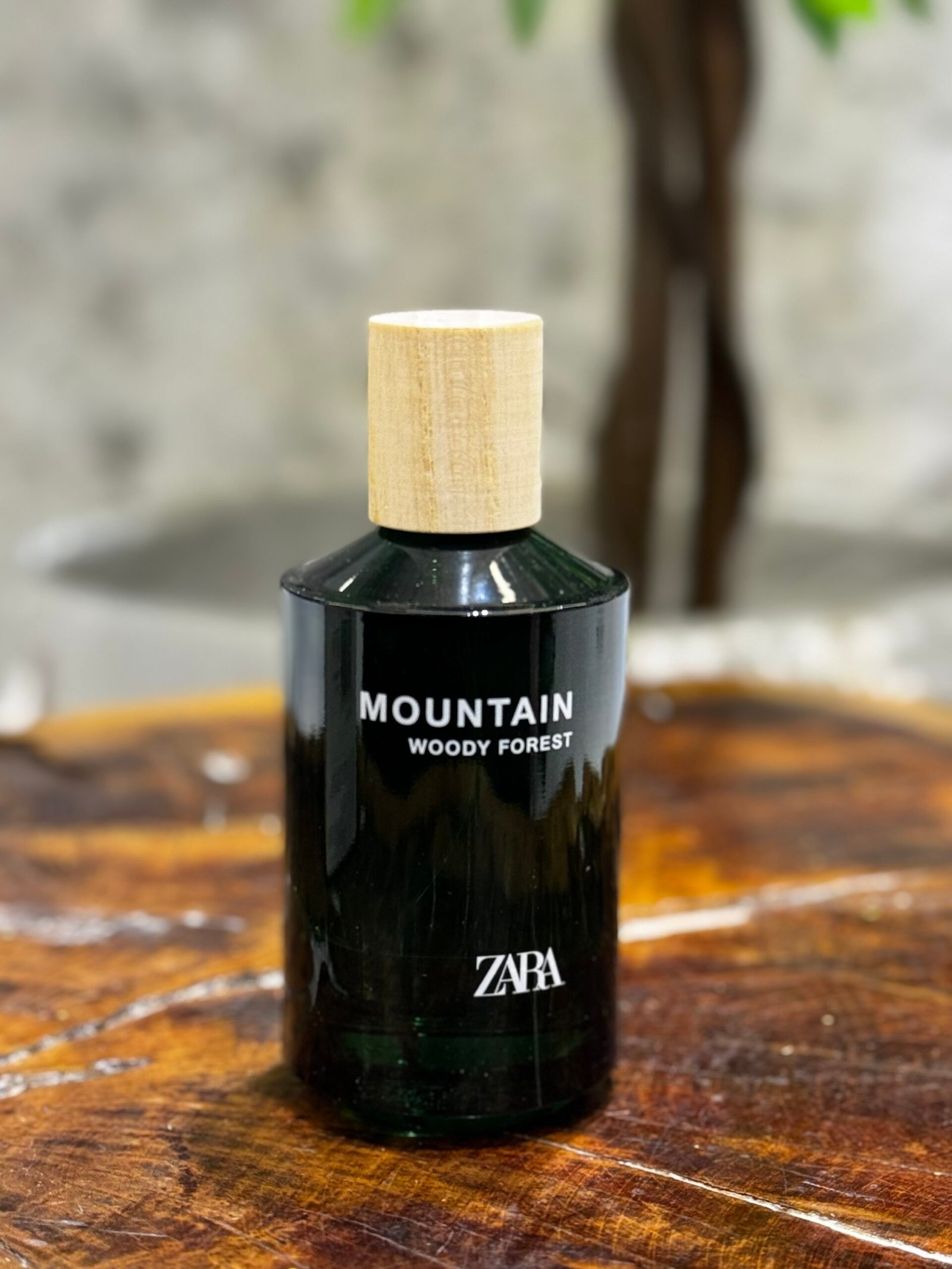 img_2244 MOUNTAIN WOODY FOREST- EAU DE PARFUM-100ML - Image 1