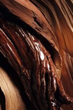 OUD ROSEWOOD- Eau de Parfum - Image 6