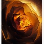 AMBRE NUIT- Eau de Parfum-200ML - Image 7