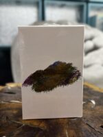 SUMMER OUD - Image 7