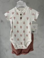 2 piece baby outfit set